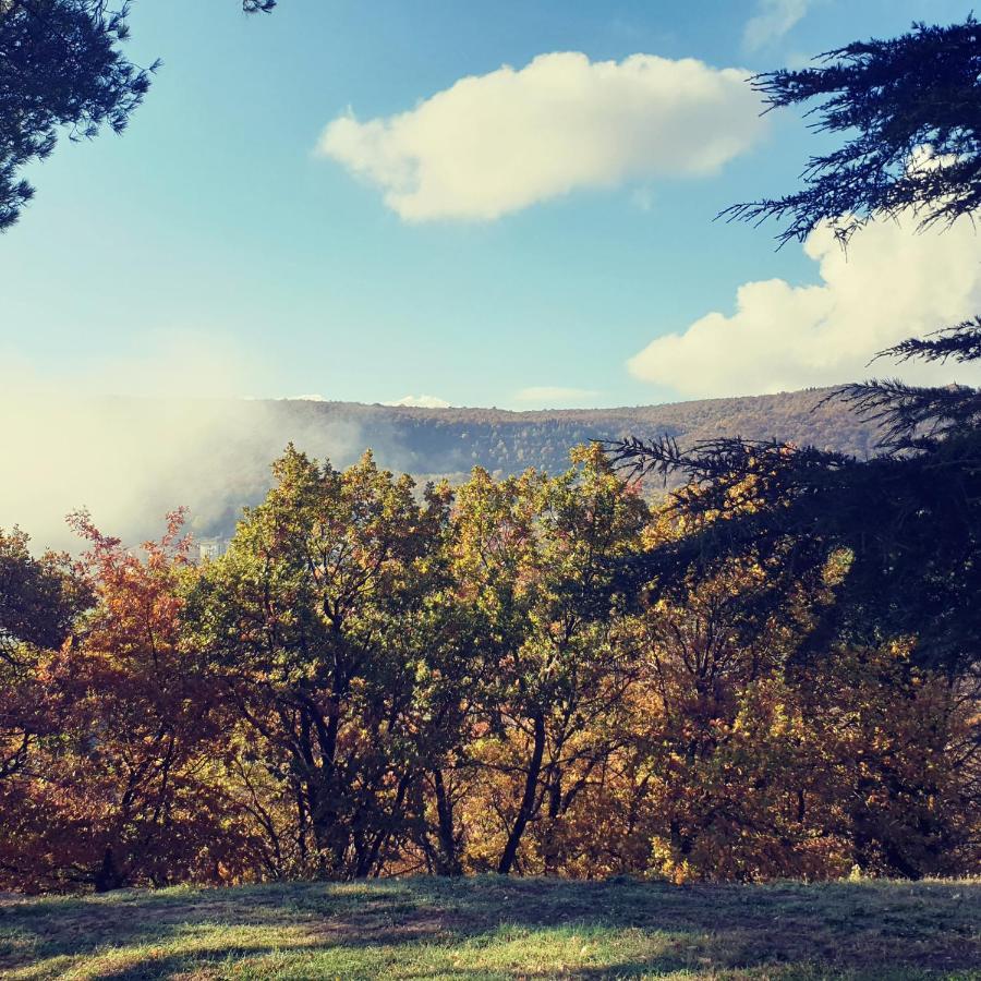 Villa Poggio Fagianino Sant'Albino Екстер'єр фото