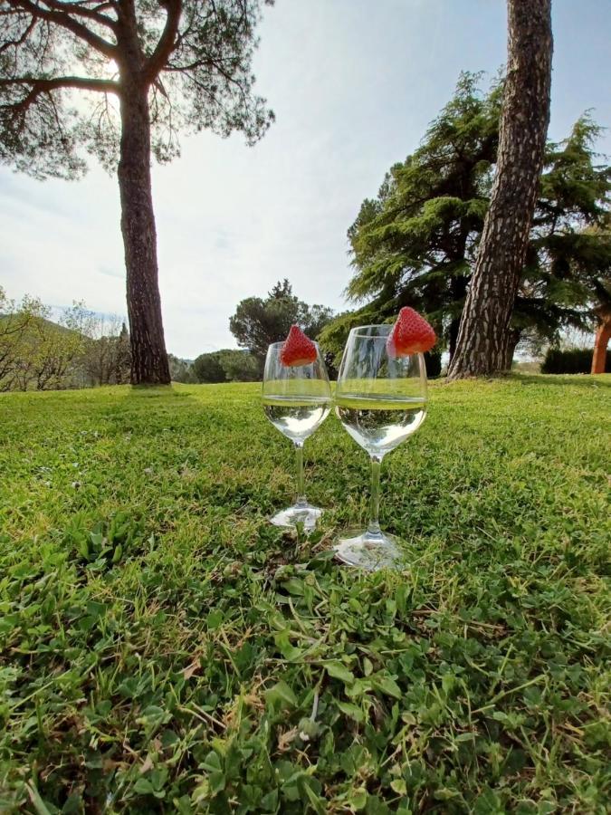 Villa Poggio Fagianino Sant'Albino Екстер'єр фото