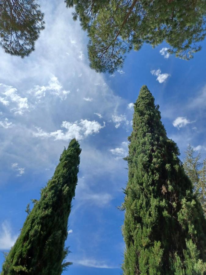 Villa Poggio Fagianino Sant'Albino Екстер'єр фото