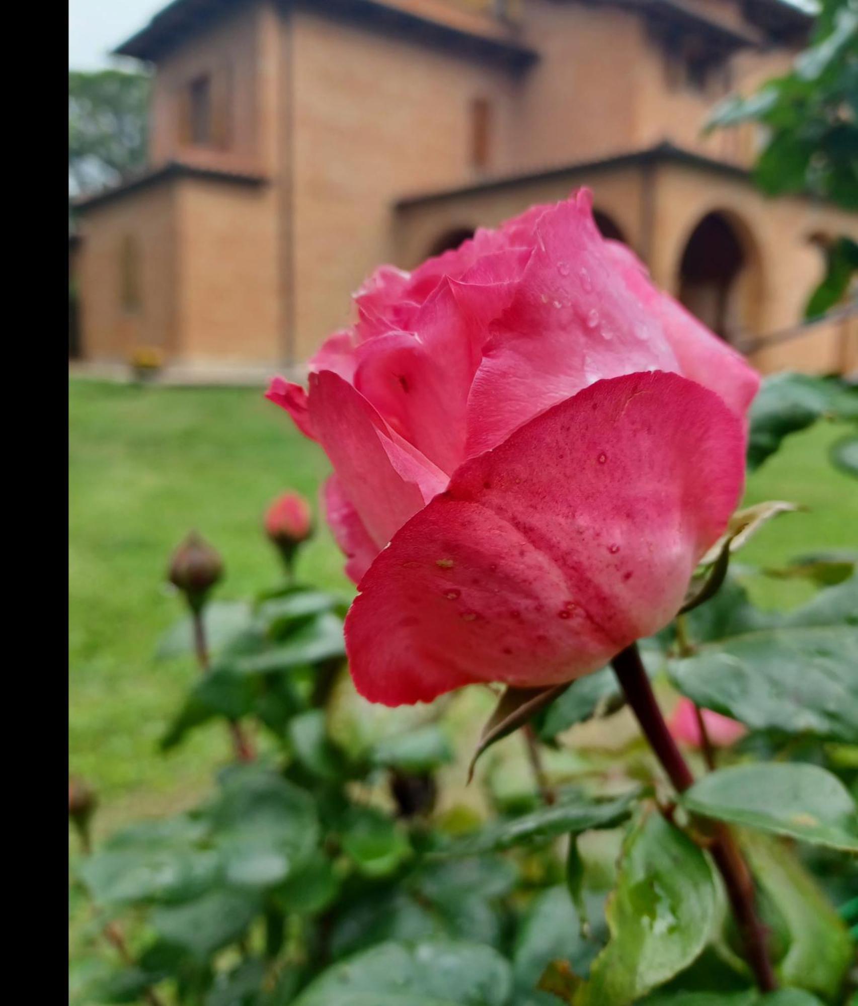 Villa Poggio Fagianino Sant'Albino Номер фото